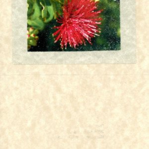 Bacon Pat 90th Birthday Invitation 312.pdf